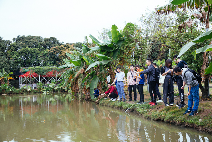 广州怎么样选到团建的好地方?青青农场,绝对的选择