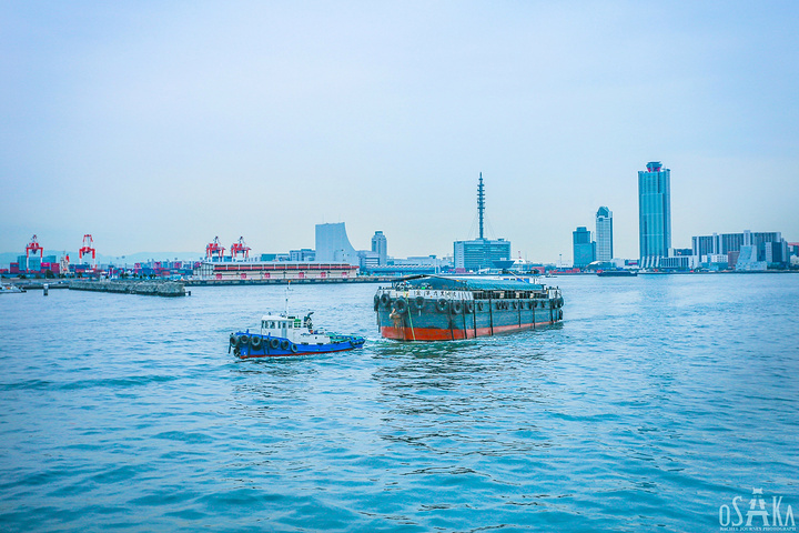 "...相关的，要了解大阪的历史，除了解锁大阪城公园的天守阁和四天王寺之外，去大阪湾看看也是很有必要的_圣玛利亚号帆船巡游"的评论图片
