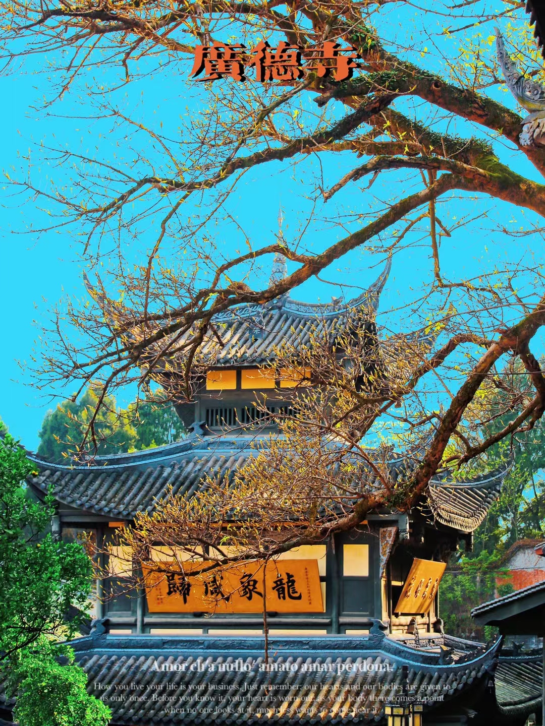 遂宁这个地方一千年前就已经天下闻名,四月必去打卡-遂宁旅游攻略-游记-去哪儿攻略