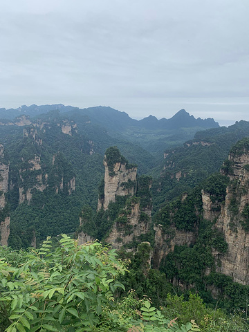 "景色在雨停的那几分钟还是非常美的。这里是张家界风景一绝，是大自然的一个奇迹。四周悬崖绝壁，水滴飞溅_袁家界景区"的评论图片