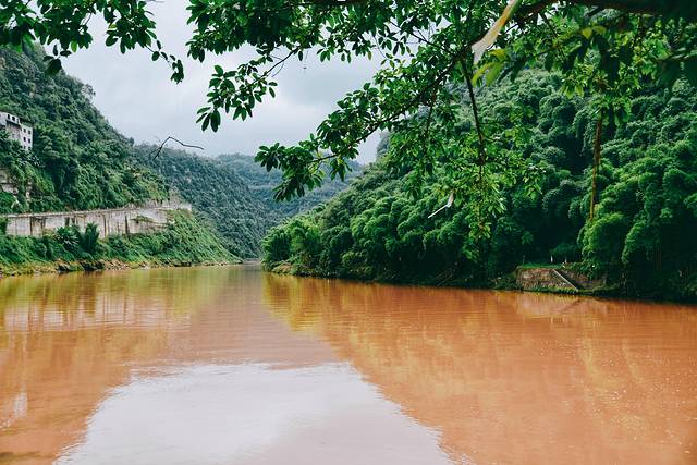 嘉阳桫椤湖旅游景区