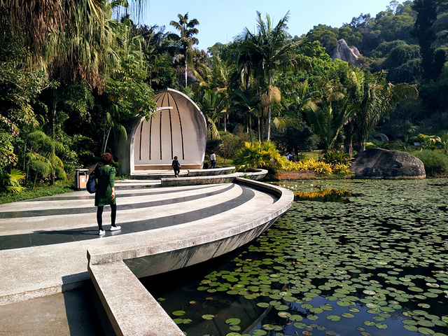 ".万石植物园是个既宜人又清新还很浪漫的地方，越来越受游客青睐，几乎成了婚纱摄影圣地_厦门园林植物园"的评论图片