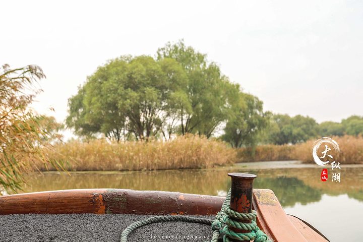 "乘坐木船游览大纵湖，是不可错过的体验之一，到大纵湖最有特色的项目是能够一睹“鸿雁纷飞”的诗画美景_大纵湖"的评论图片
