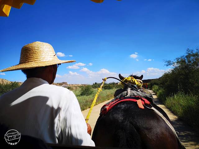水洞沟景区遗址博物院