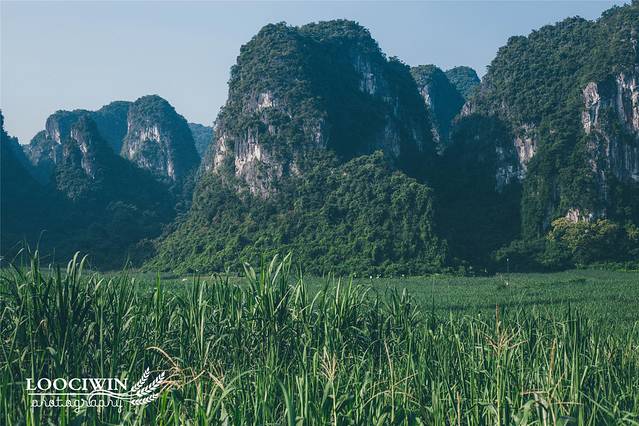 白头叶猴生态旅游区