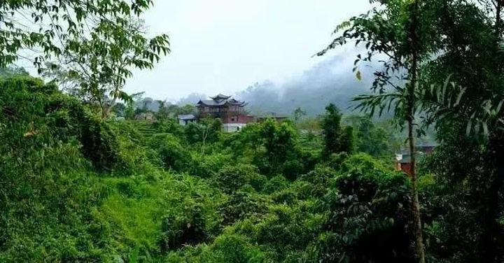 "常青茶溪谷景区密布着大面积的热带雨林打造攀爬、骑马、漂流_茶溪谷"的评论图片