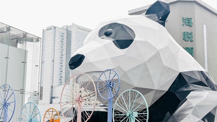 "...产地”的四川来说，游客朋友们虽不一定有机会去到大熊猫基地，与这大熊猫合影留恋也是非常不错的选择_成都IFS国际金融中心"的评论图片