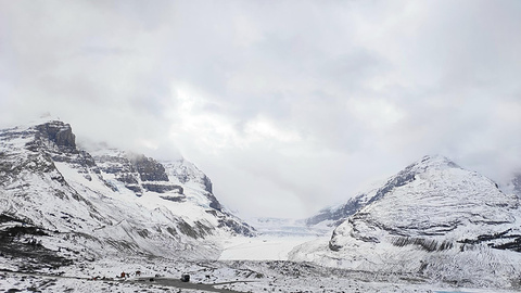 mackenzie river pizza co