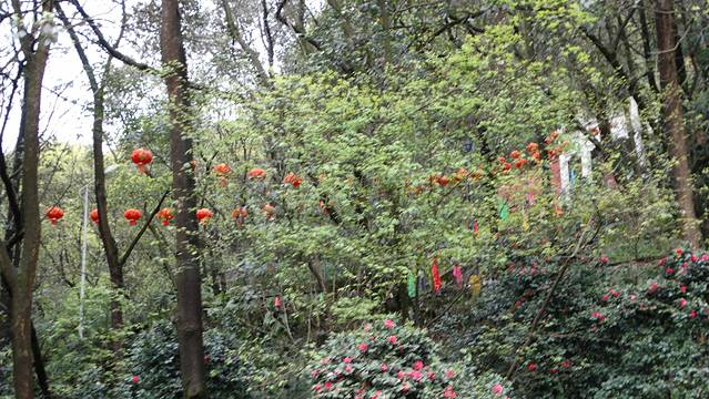 宜宾市翠屏山景区