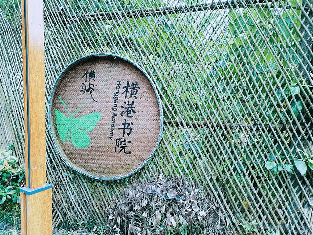 "新鲜的桑葚采摘。远离都市喧嚣，感受乡村宁静 周末两天给自己一个远离都市的机会_横港悦公社 (横港国际艺术村)"的评论图片