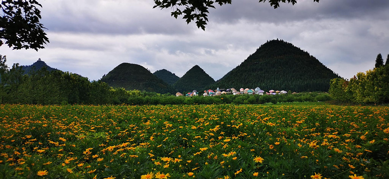贵州醇景区旅游景点图片