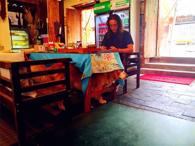 初见沙溪私房菜