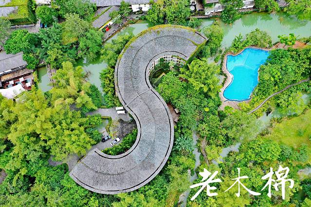 德天老木棉景区