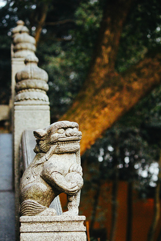 "_灵隐寺"的评论图片