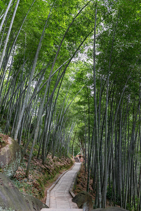 说说这次旅行图片