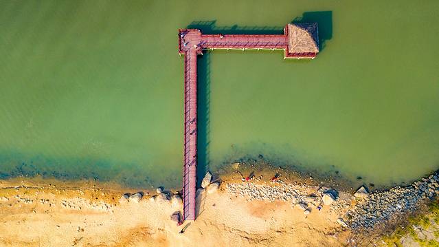 瑶湖郊野森林公园