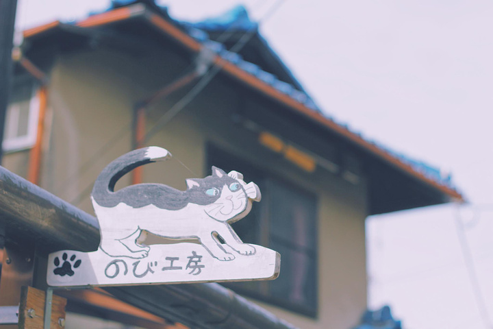 "若王子神社、法然院、银阁寺等等，都是非常有 日本 历史文化特色的参观地。路上有很多景点可供观赏~万能_哲学之道"的评论图片