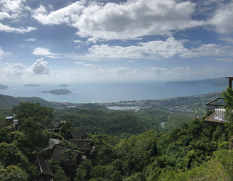 鸟巢度假村