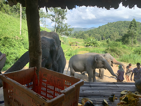 美莎大象营旅游景点攻略图