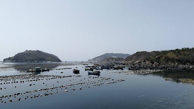 小水口森林公园