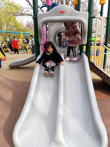 "儿童公园就是其中之一。2019年的清明小长假没有远行，而是选择在大连市内与家人一起去附近的公园踏青_儿童公园"的评论图片