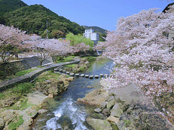 日本山口县4日3晚深度游-打卡小众景点，观瑠璃光寺五重塔 亲手制作金鱼灯。