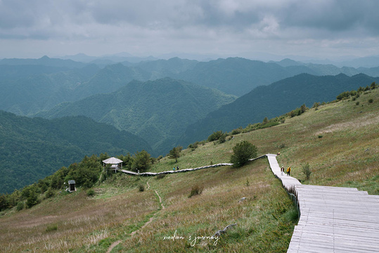 紫柏山国家森林公园旅游景点图片