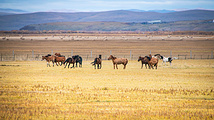 内蒙古旅游景点攻略图片