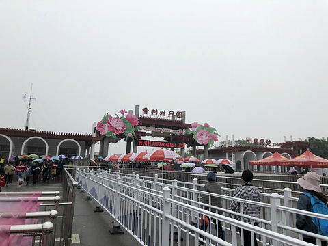 曹州牡丹园旅游景点攻略图