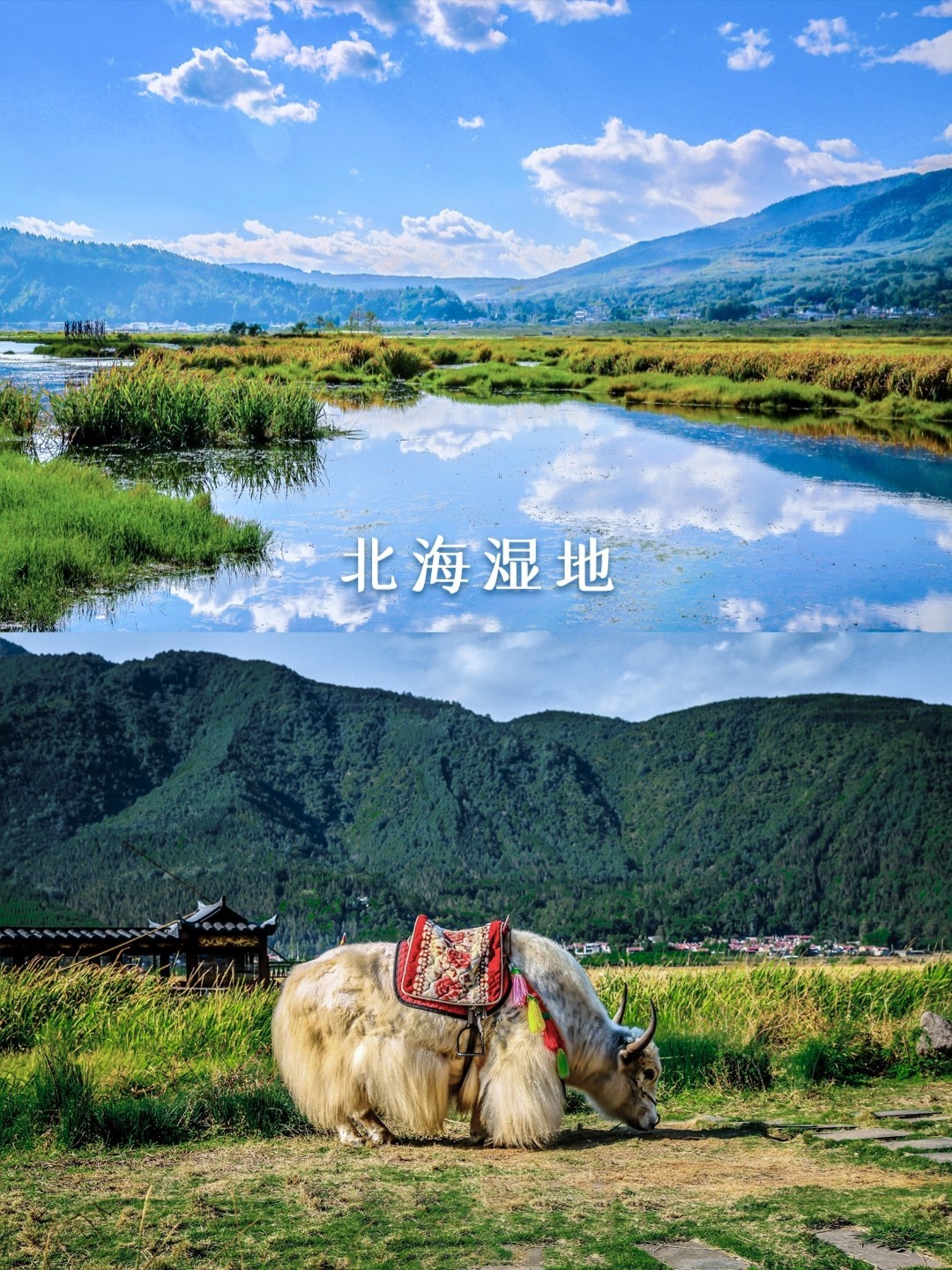 腾冲冬季旅行攻略，2021年1-2月这样玩！