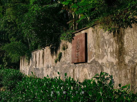龙井村旅游景点图片