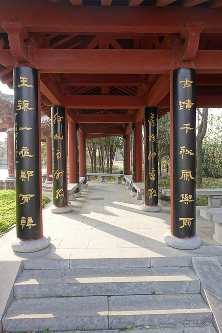 探寻郑国车马坑的秘密