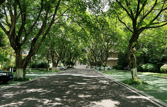 西南石油大学-图书馆旅游景点图片