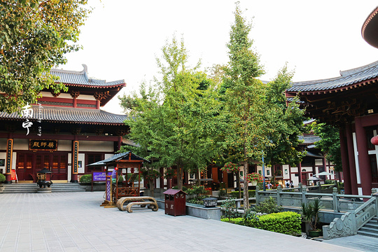 观音禅寺旅游景点图片