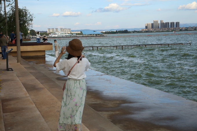 ac09a6b9259ccf2856aff4ecc5db9a29.jpg