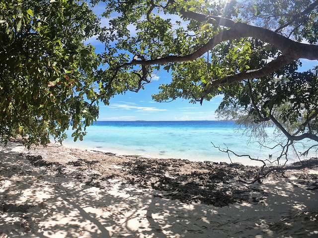 "其实在海水落潮最低点时，大马达京的西海岸还有两岛之间都是大片半干半湿的沙地，绵延了上千米，海鸟..._马达京岛"的评论图片