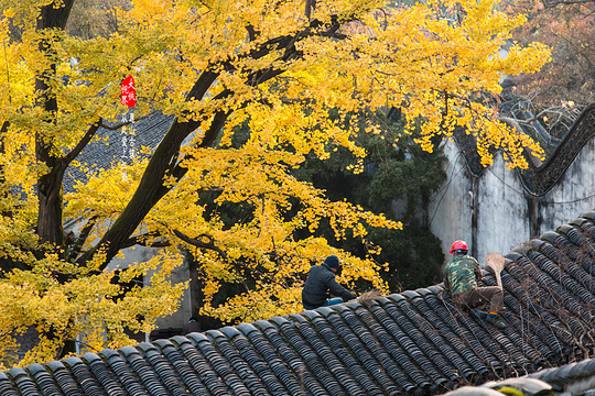 惠山寺旅游景点图片