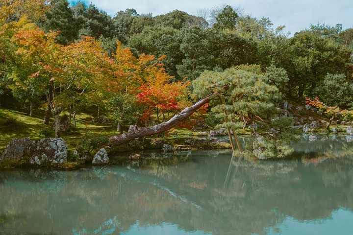 "这个季节其实路上景色不好看，如果是樱花季或枫叶季就会很美。在岚山穿和服的人很少。这是粥～很好喝_岚山"的评论图片