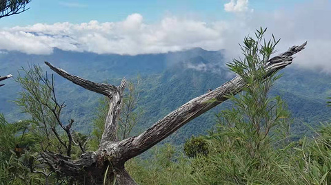 海南百花岭热带雨林文化旅游区旅游景点攻略图