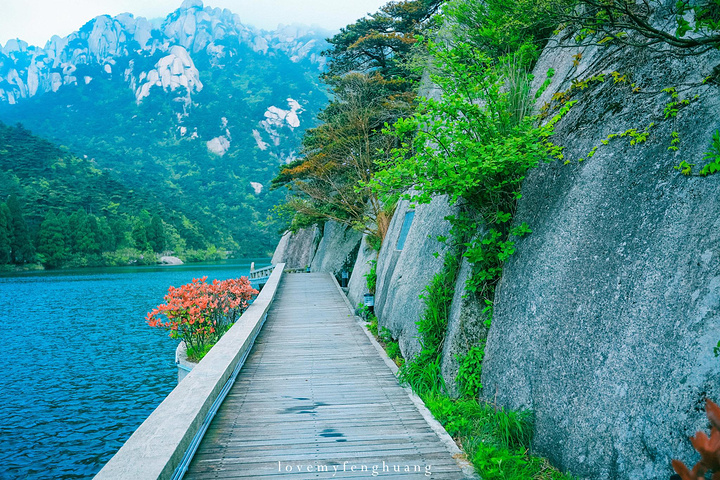 "...，这些远看似古堡魏立的天柱山岩石，在西关群峰垂直节理中非常发育，形成了横看成岭侧成峰的美丽景致_天柱山"的评论图片