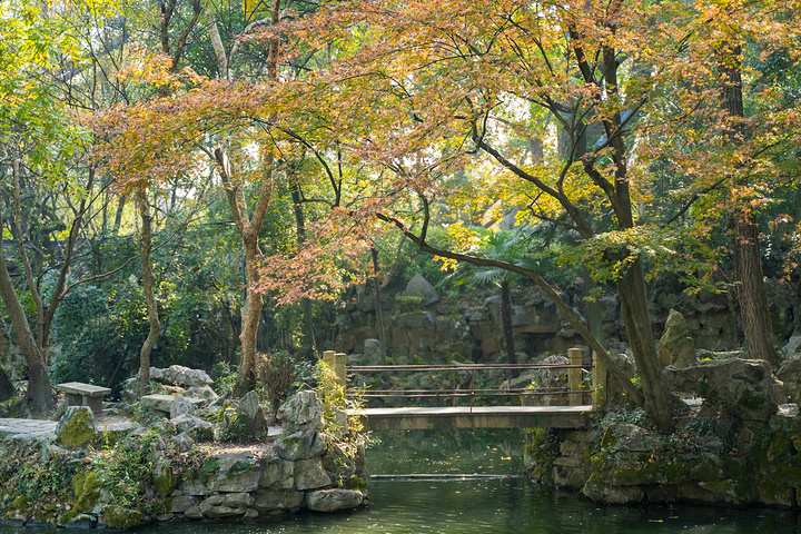 "...后院则是一个非常大的花园，作为中国十大园林之一的绮园，妙用了“山随水转,山因水活”叠山理水园论_绮园景区"的评论图片