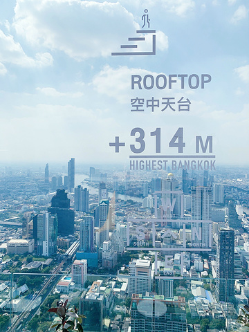 "还是非常的罕见，而云顶大厦最大的亮点便是这个，高310米的玻璃地板观景平台，这也是世界上面积最..._王权云顶大厦玻璃观景台"的评论图片
