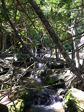 Phu Quoc Waterfall旅游景点攻略图