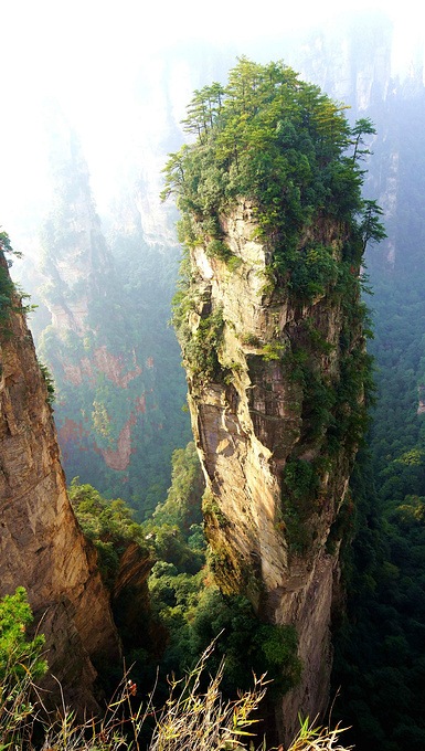 天子山 袁家界 杨家界图片