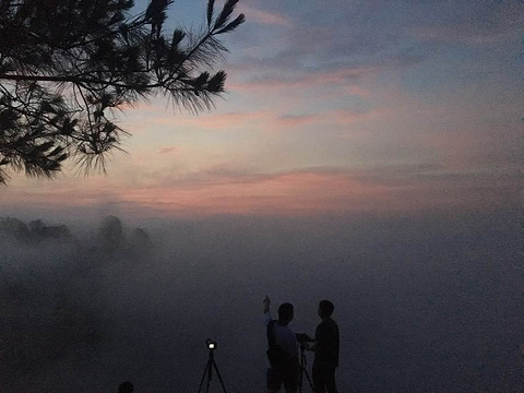 武夷山风景名胜区-白云禅寺旅游景点攻略图