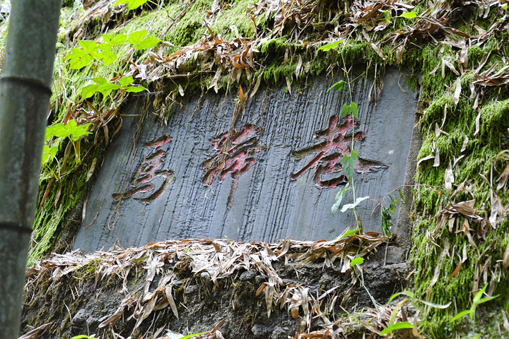 " “巷”是此景区的特色，以“天下第一巷”为代表的大小“一线天”共九条，是典型的丹霞地貌一线天群..._天一巷"的评论图片