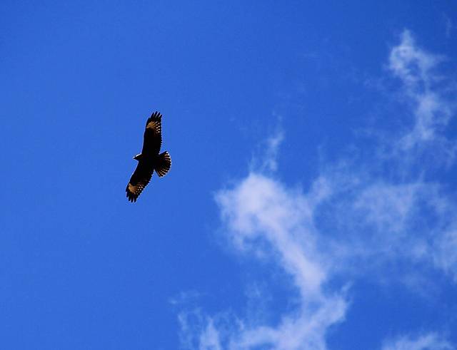 那拉提国家湿地公园