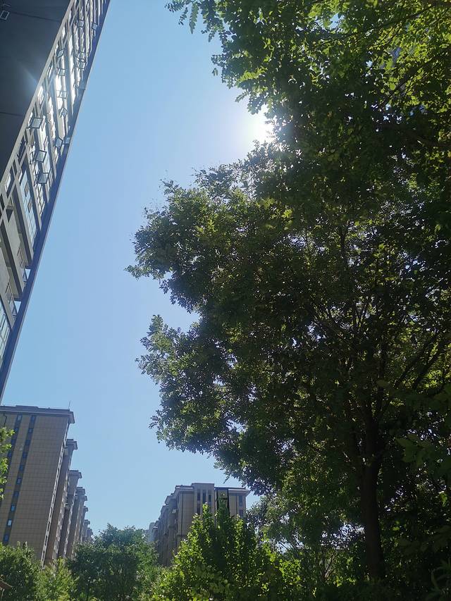 新加坡樟宜机场新罗免税店（1号航站楼离境大厅D登机店）