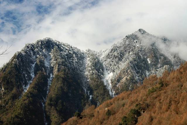 卧龙自然保护区