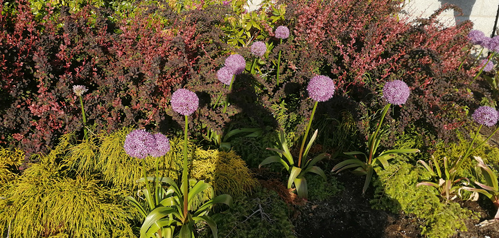 "花园有不少独具的色的纪念品不容错过，本身女生就对花花香的唇膏护手霜指甲油小香皂没有抵抗力，何况..._布查德花园"的评论图片